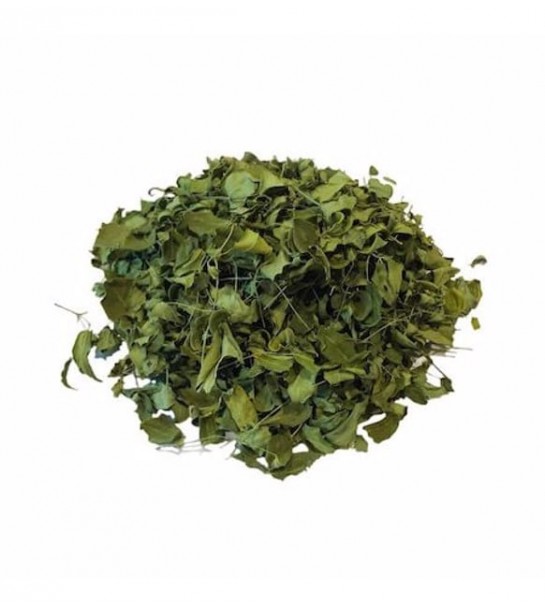 Moringa Yaprak