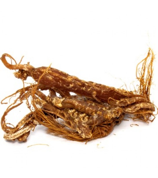 Ginseng Kök Kırmızı