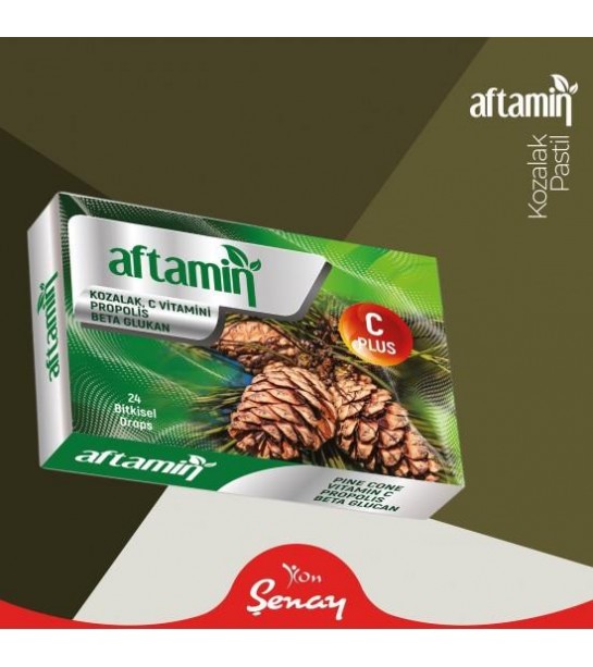 Aftamin Pastil Kozalak C Propolis 24 Ad.