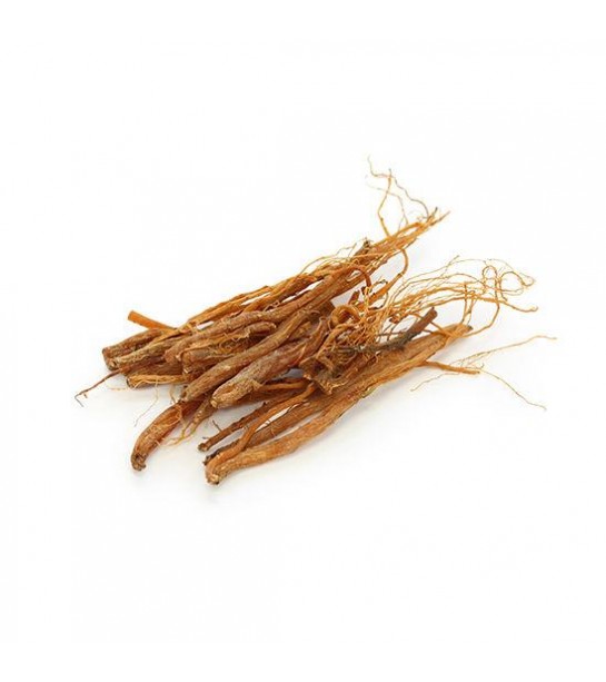 Ginseng Kök Kırmızı