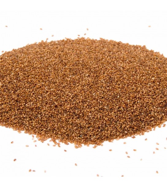 Teff Tohumu